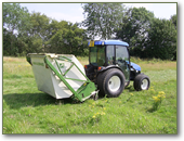 MDL Grounds Maintenance