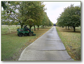 MDL Grounds Maintenance