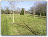 MDL Grounds Maintenance